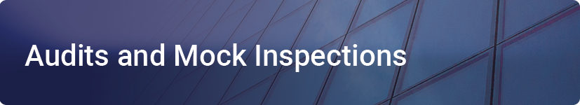 Audits and Mock Inspections