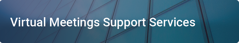 Virtual Meeting Support Assistance